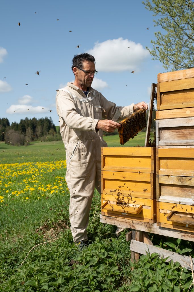 Allgäuer Bienen Honig Imker